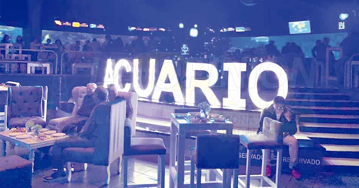 Niegan daño a especies del Acuario de Veracruz