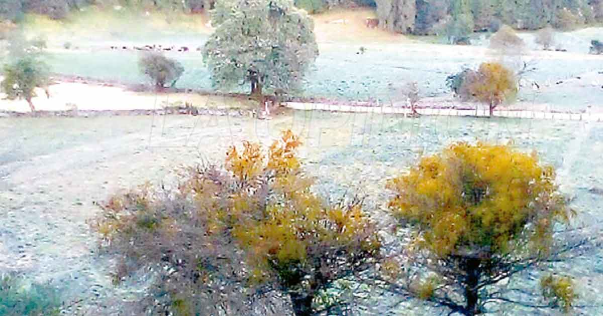 Invierno cobra fuerza, ya hay heladas