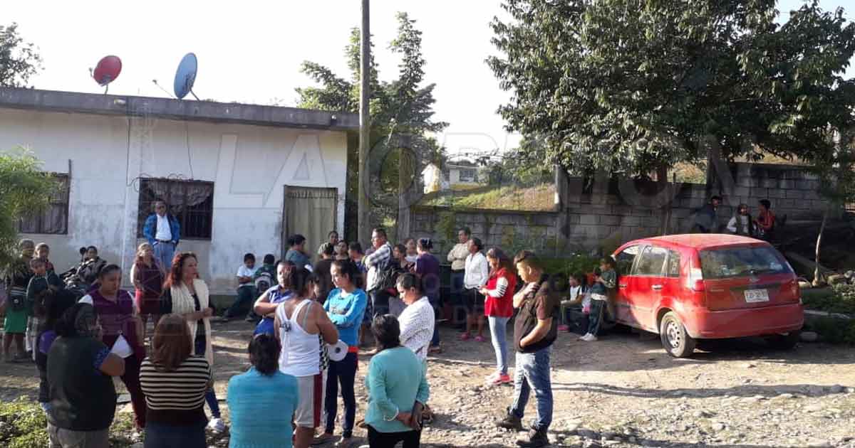 Estudiantes toman clases bajo los arboles