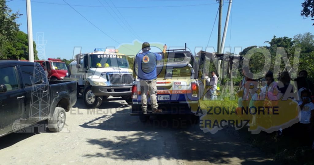 Fuga en gasoducto de TransCanada mató a miles de abejas y otros insectos en Tuxpan