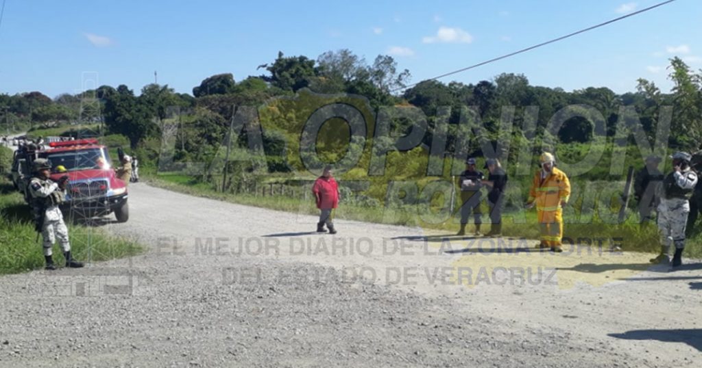 Fuga en gasoducto de TransCanada mató a miles de abejas y otros insectos en Tuxpan