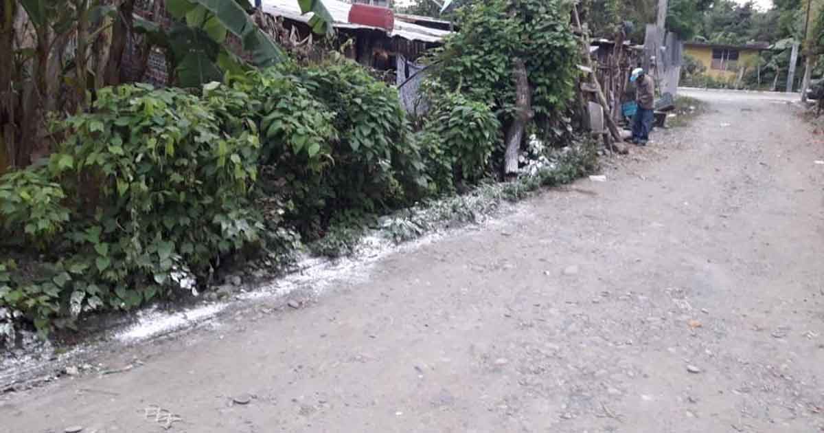 Alerta por hepatitis “A” en la zona del palmar