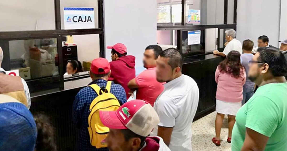 La Tesorera Municipal de Álamo elogió el programa “Juntos la Armamos”