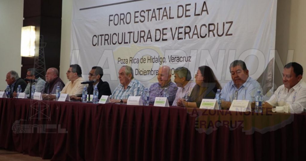 Ligan a jóvenes con la citricultura en Veracruz