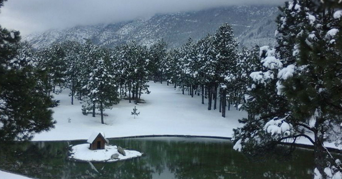 ¡Vivir una blanca navidad en México es posible en estos lugares!