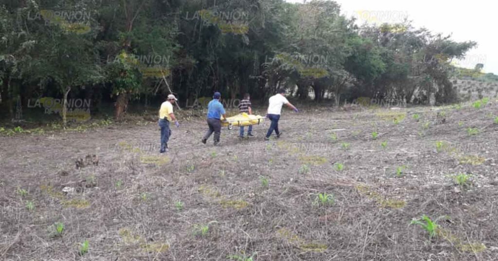 Aparece mujer muerta en una parcela