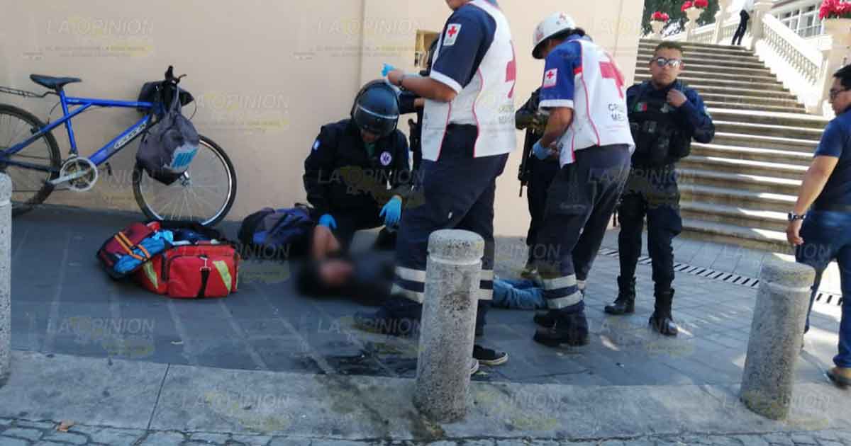 Cayó de su propia altura y se estrelló contra el pavimento