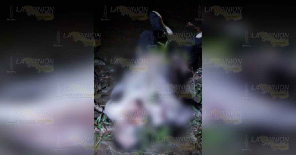 Aparece cuerpo putrefacto sobre el río Tecolutla en Poblado, Espinal