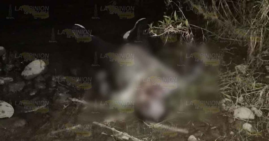 Aparece cuerpo putrefacto sobre el río Tecolutla en Poblado, Espinal