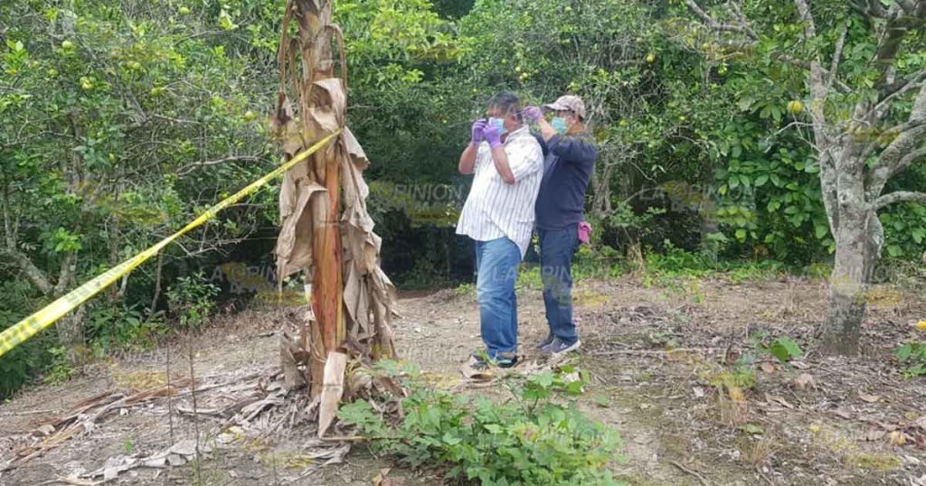 Por segundo día consecutivo, hallan otro cuerpo putrefacto en Tihuatlán