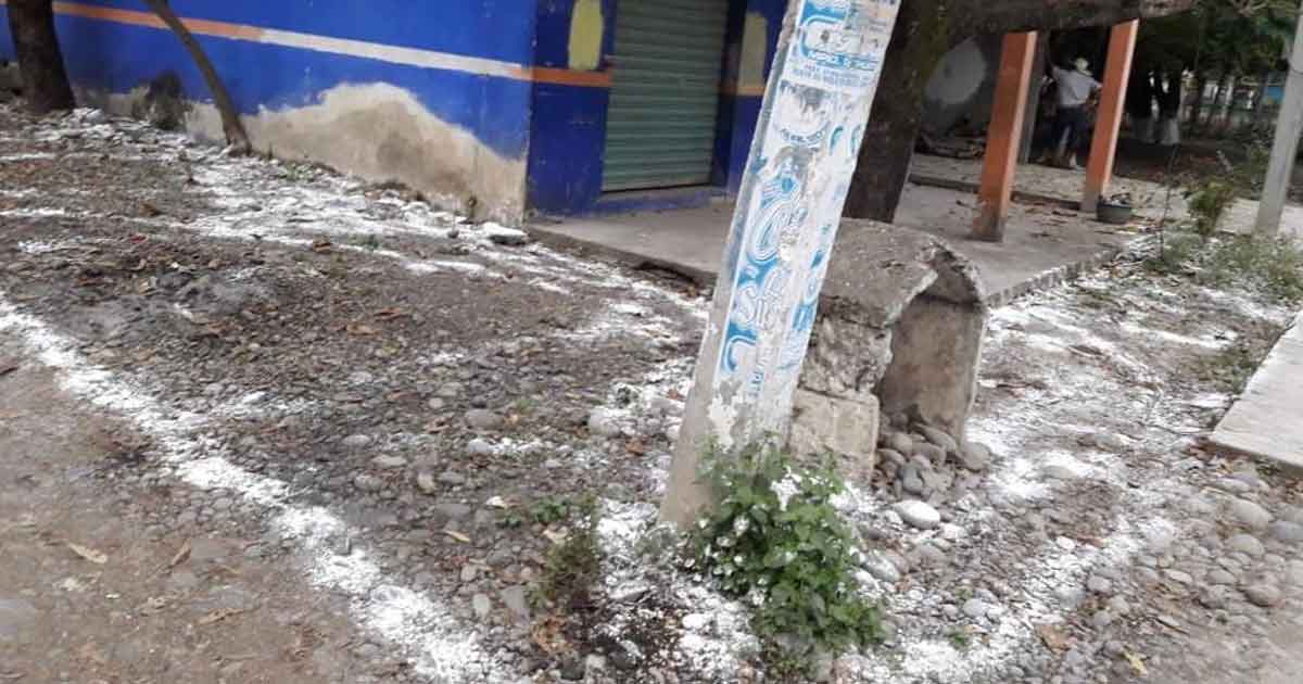 Alerta por hepatitis “A” en la zona del palmar