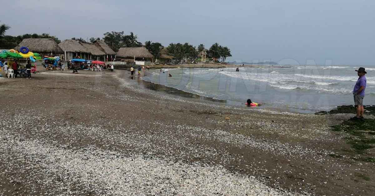 El mar se aleja de tierra firme en la Barra de Cazones