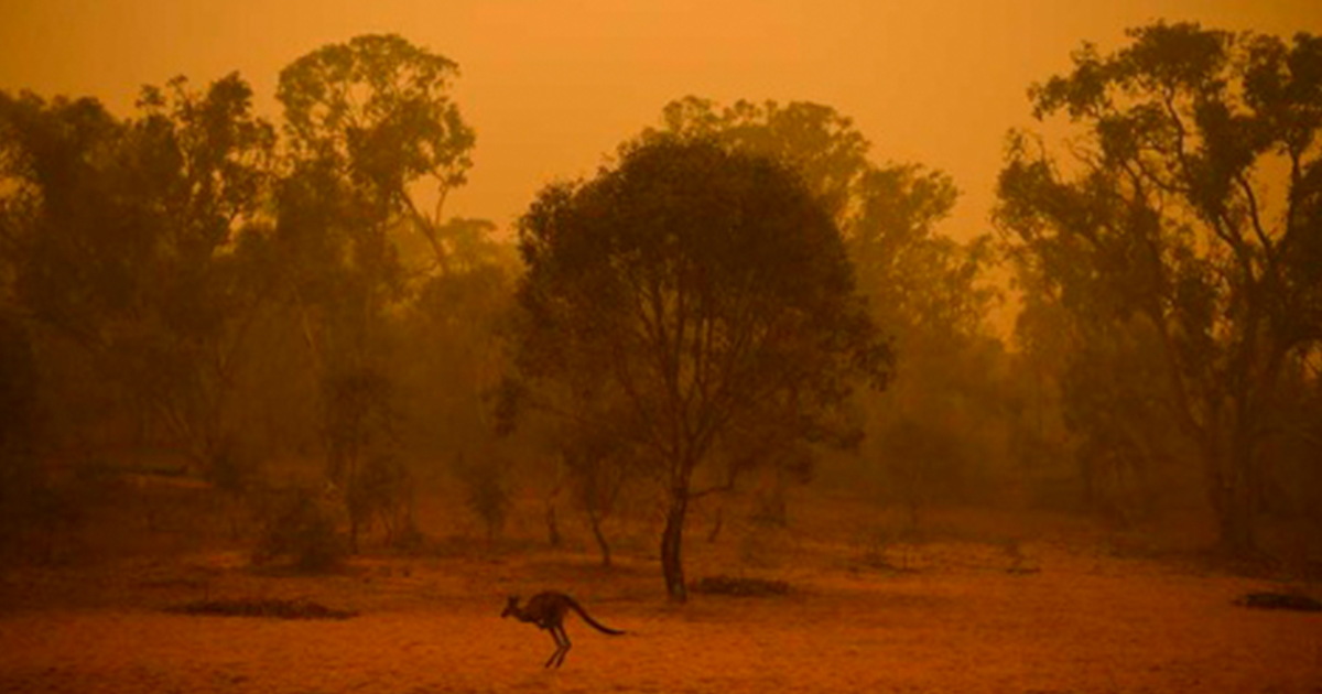 Evacuan partes de capital de Australia por nuevos incendios