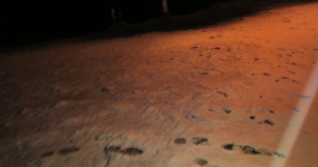 Nieve en el cofre