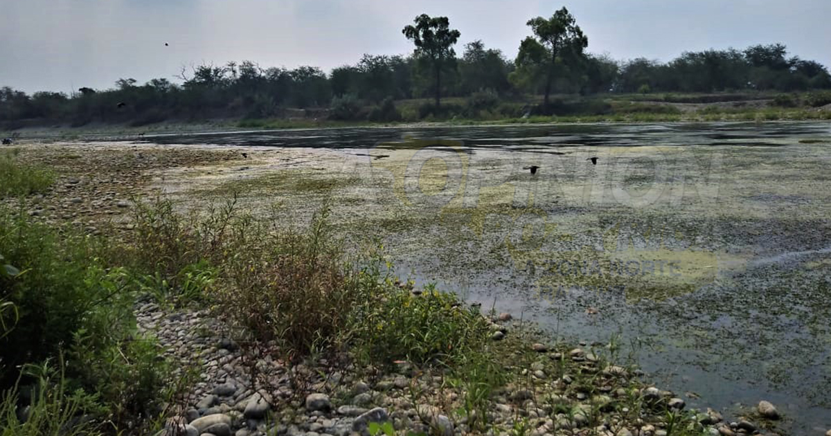 2020, año de retos por la naturaleza