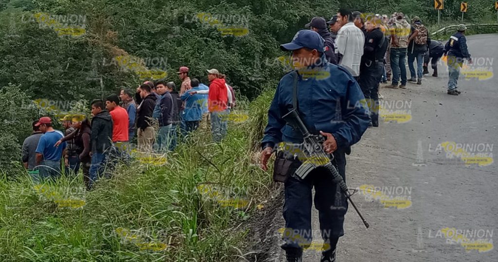 Vuelca camión con ganado sobre la carretera federal Tuxpan-Tampico