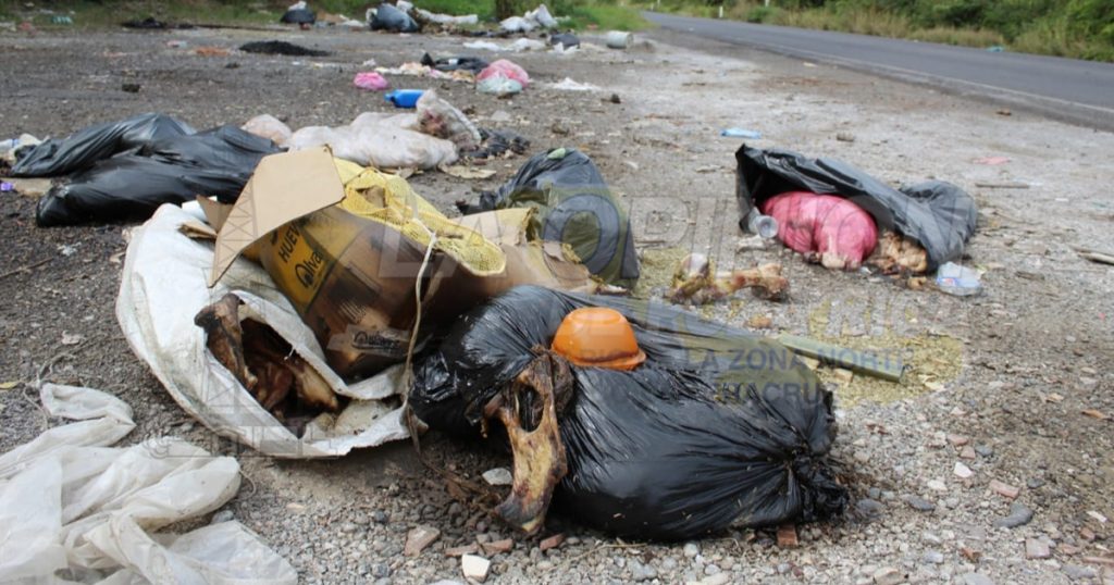 Pestilente depósito de restos de animales a la orilla de la carretera Tuxpan-Tamiahua