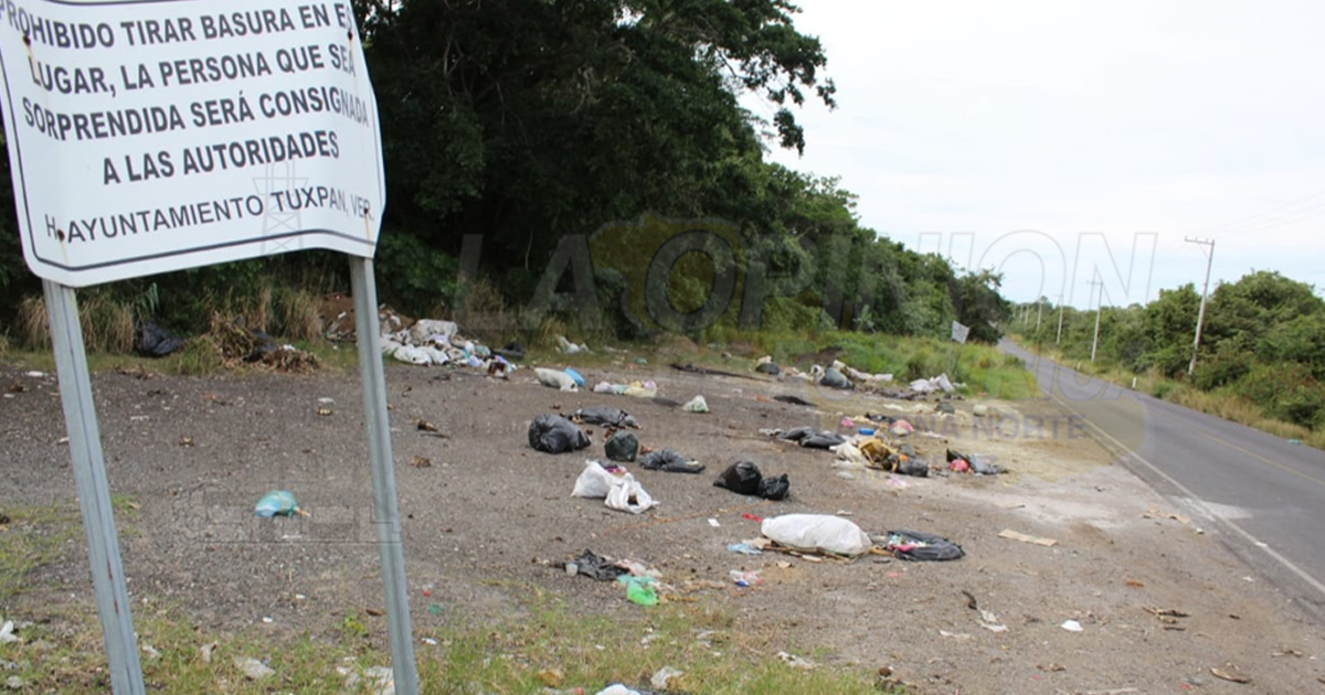 Pestilente depósito de restos de animales a la orilla de la carretera Tuxpan-Tamiahua