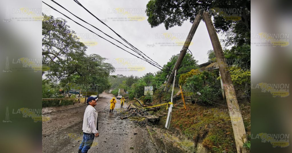 Lluvias derriban árbol de mango en Espinal