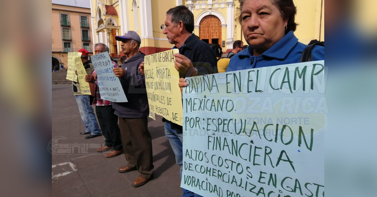 Cafeteros reprochan falta de apoyo del Gobierno