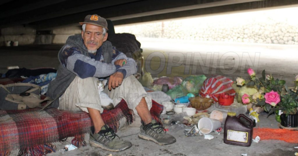 Vive bajo el Distribuidor Vial…un gato, su único amigo