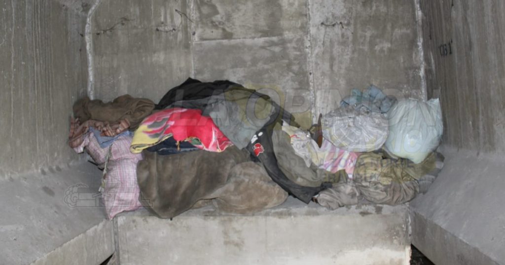 Vive bajo el Distribuidor Vial…un gato, su único amigo