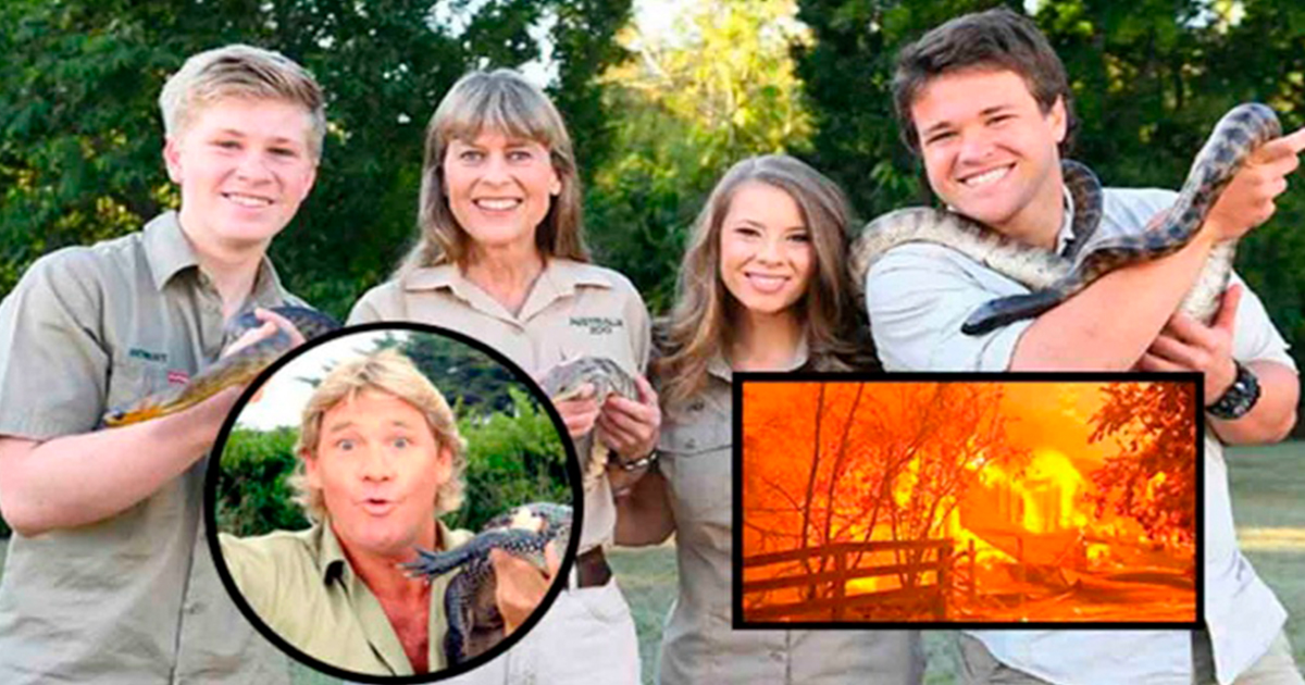 Familia del cazador de cocodrilos rescata animales en Australia