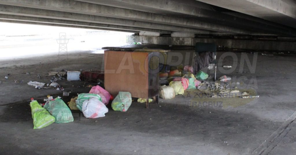 Vive bajo el Distribuidor Vial…un gato, su único amigo