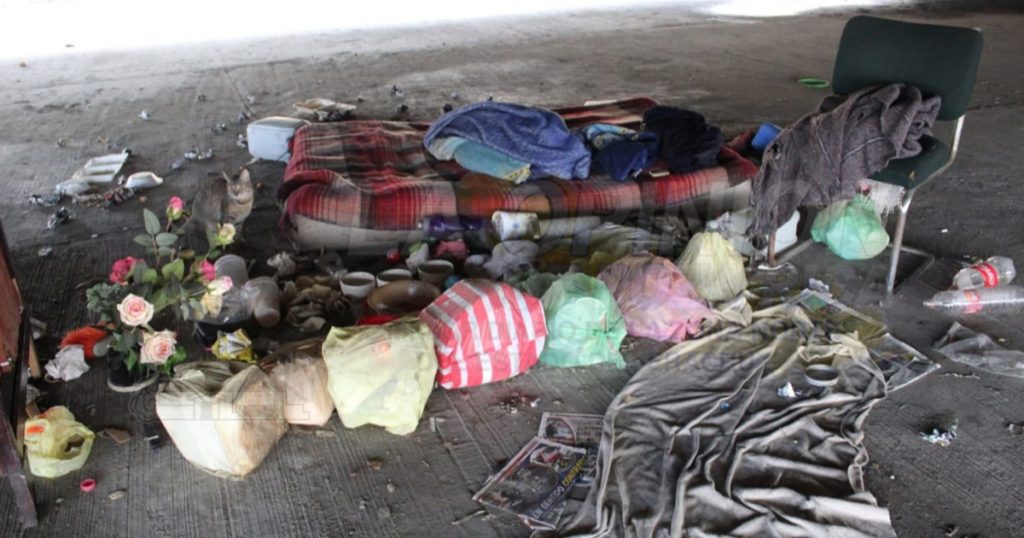 Vive bajo el Distribuidor Vial…un gato, su único amigo