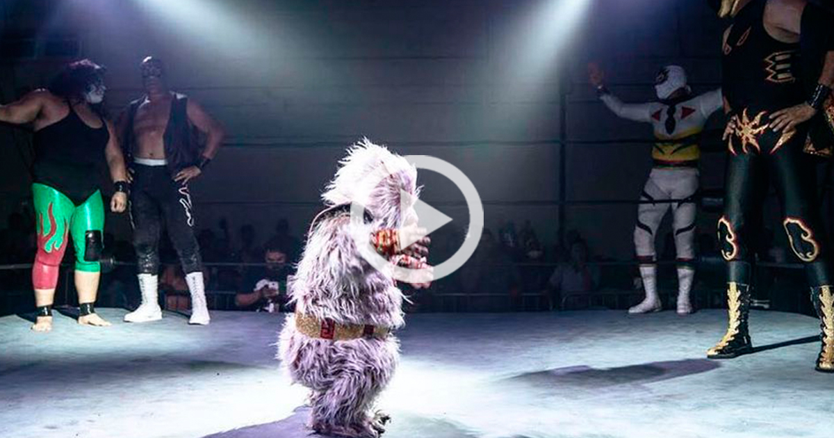 Alushe, compañero de Tinieblas realiza espectacular baile