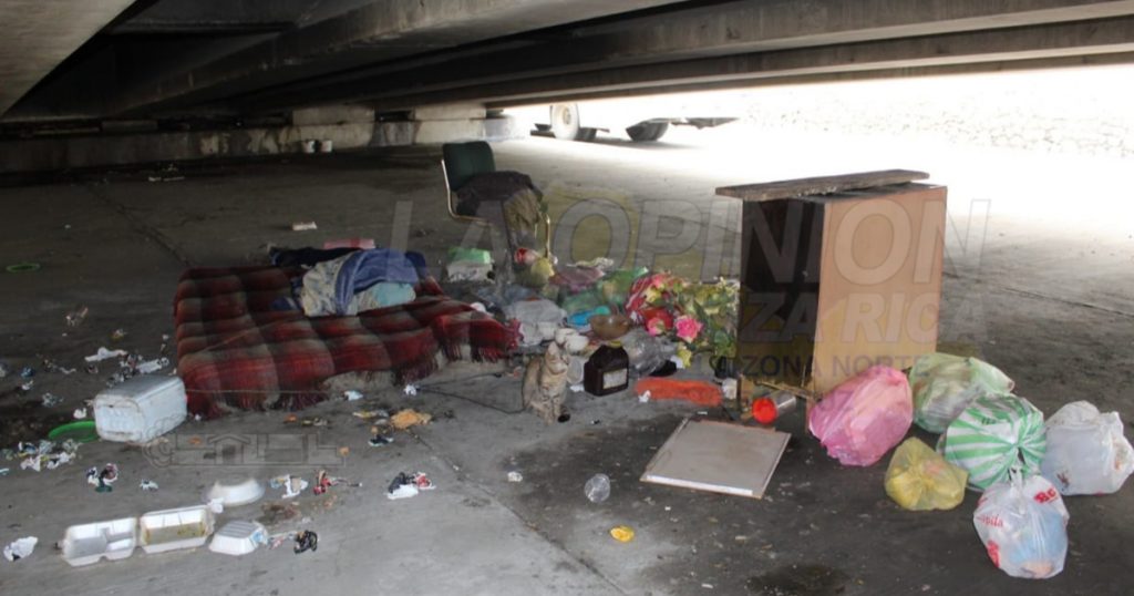 Vive bajo el Distribuidor Vial…un gato, su único amigo