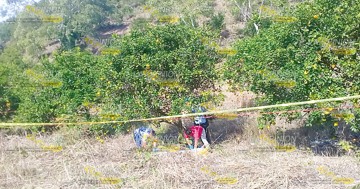 Se colgó de un árbol