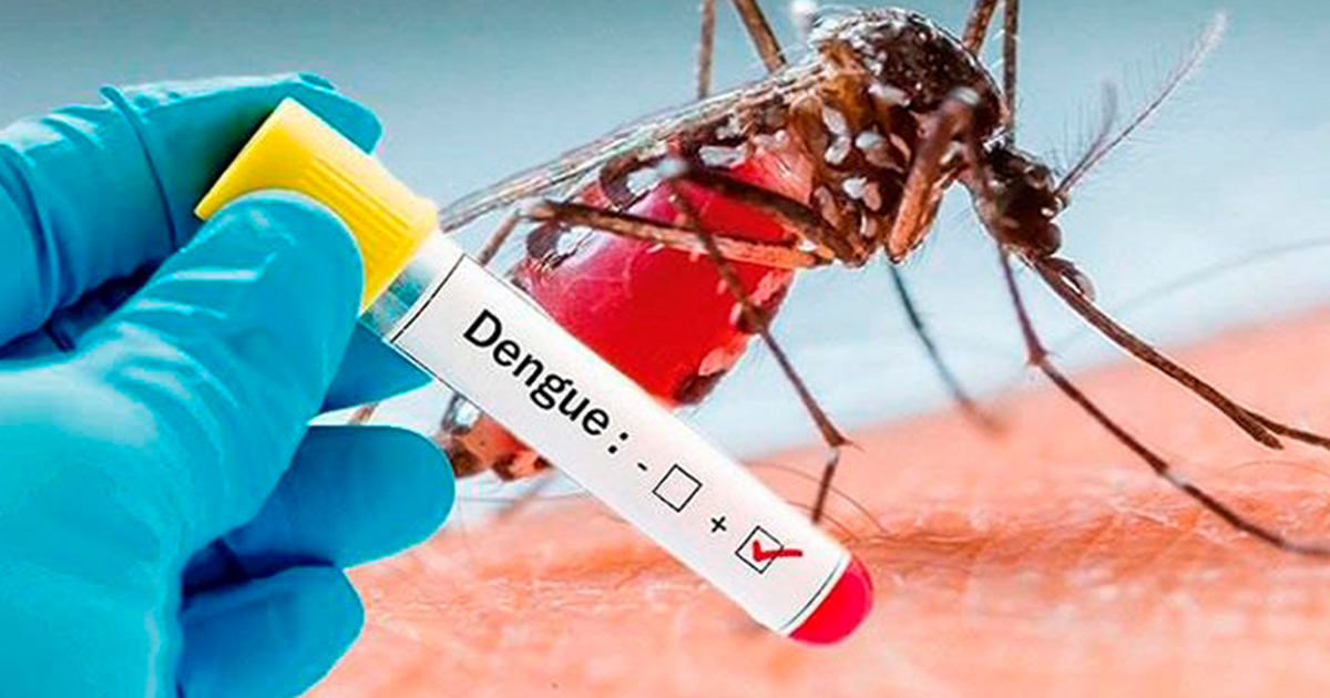 En 2020, México ha registrado 441 casos de dengue