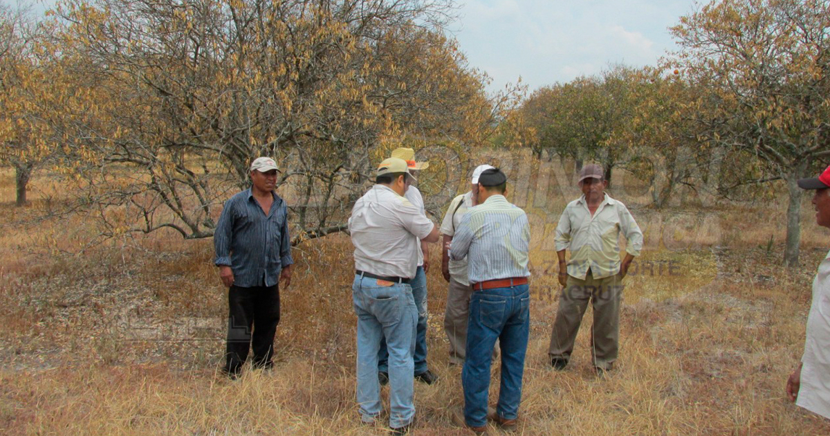 Prioridad, oficina de FND en Álamo