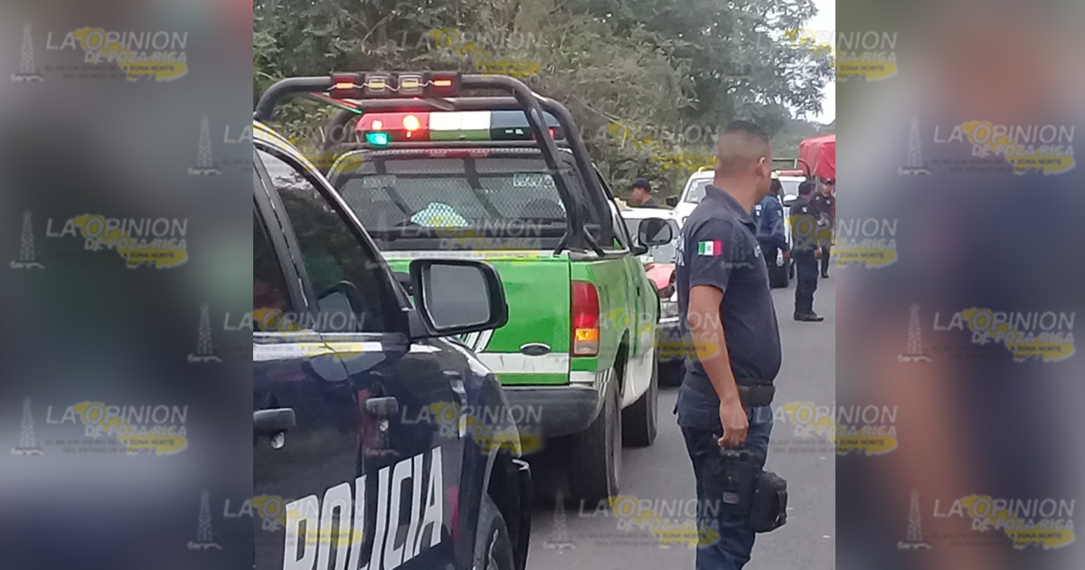 Se impacta un taxi vs una vaca sobre la carretera estatal Naranjos-Chontla