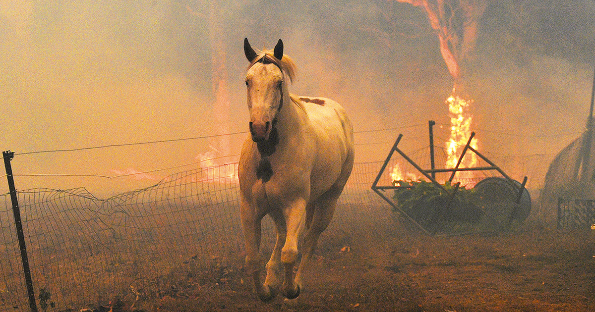 Resurge alerta por fuego en Australia