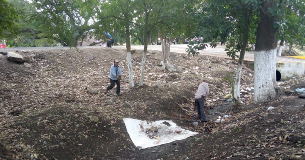 Ayuntamiento de Naranjos realiza labores de limpieza y chapoleo