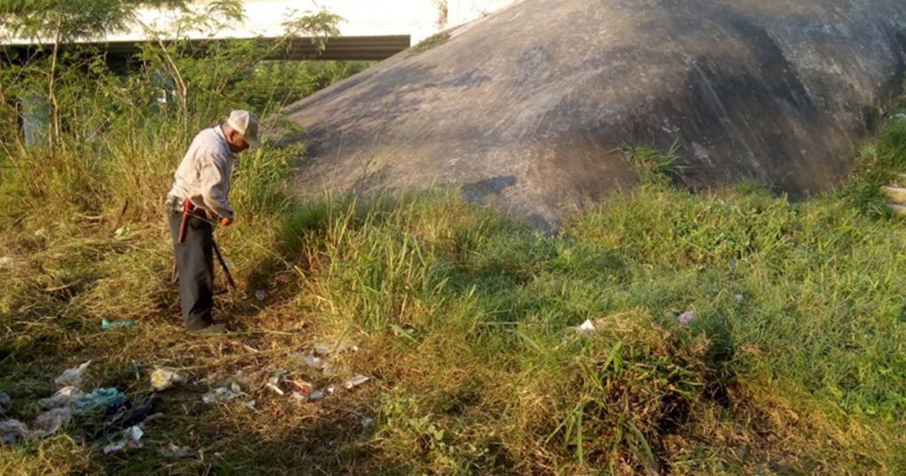 Ayuntamiento de Naranjos realiza labores de limpieza y chapoleo