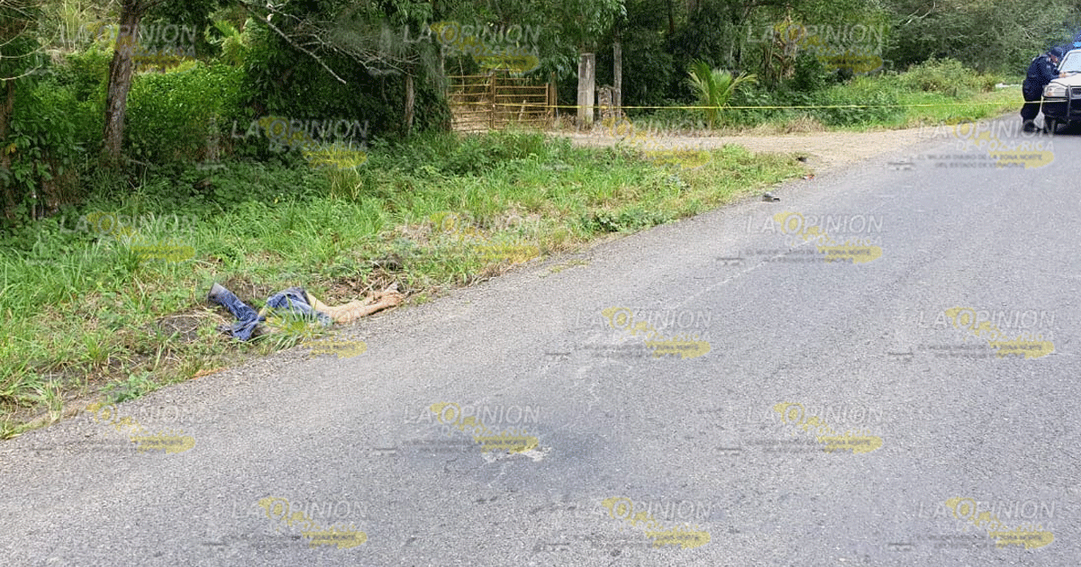 Hallan cuerpo tirado a la orilla de la carretera Tampico - Tuxpan