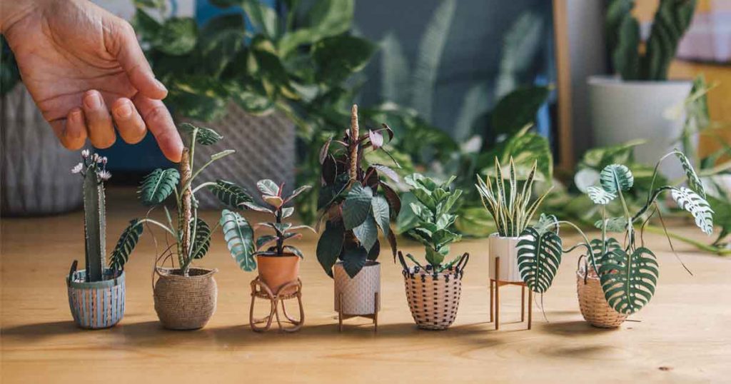 Detalladas plantas de papel en miniatura por la artista catalana Raya Sader Bujana