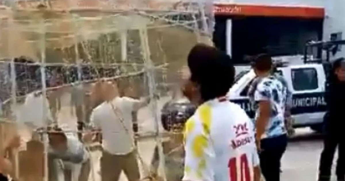 Desconectan Árbol de Navidad y tres personas terminan electrocutadas