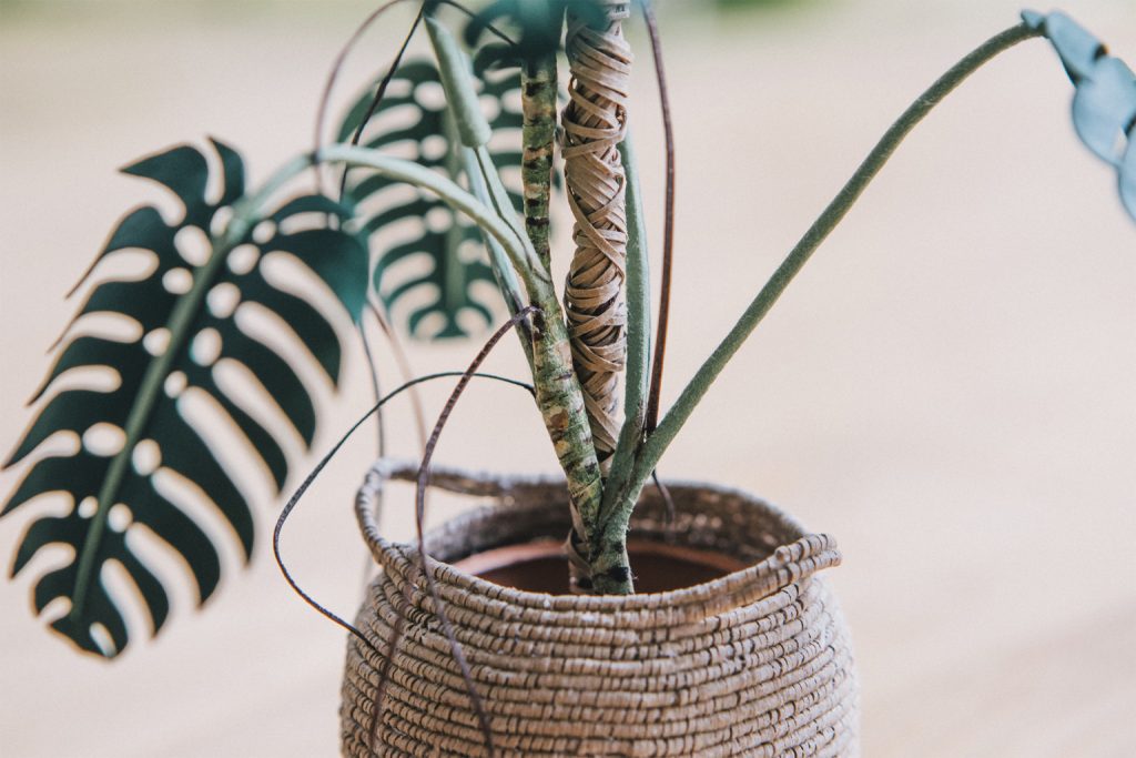 Detalladas plantas de papel en miniatura por la artista catalana Raya Sader Bujana