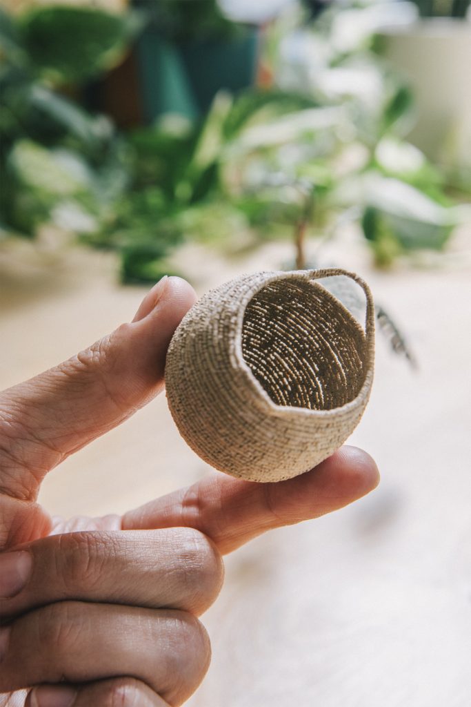 Detalladas plantas de papel en miniatura por la artista catalana Raya Sader Bujana