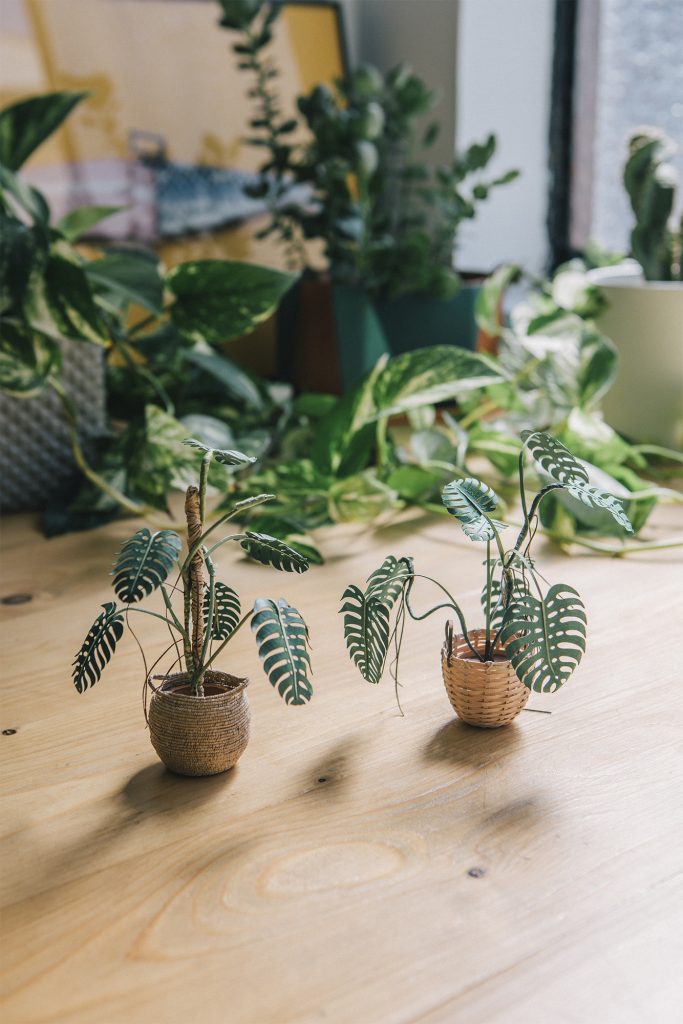 Detalladas plantas de papel en miniatura por la artista catalana Raya Sader Bujana