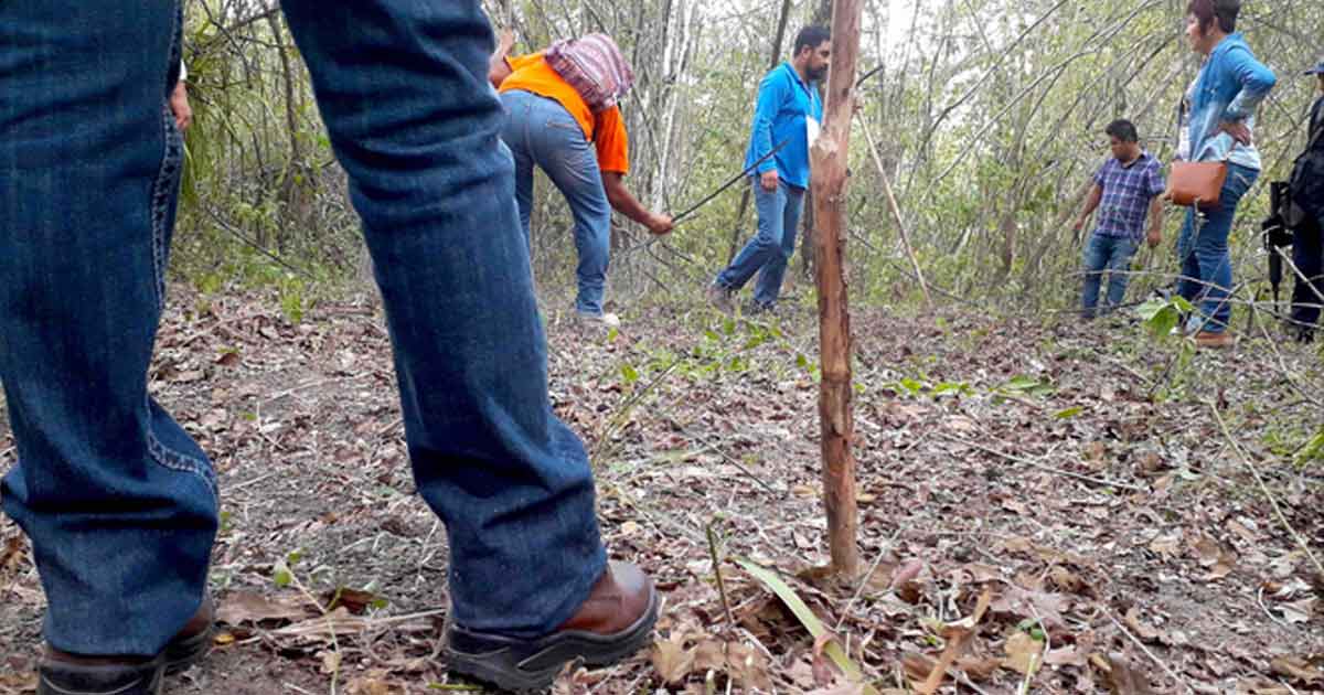 Quinta Brigada Nacional de Búsqueda, a realizarse en la zona norte del estado, será la más grande a la fecha