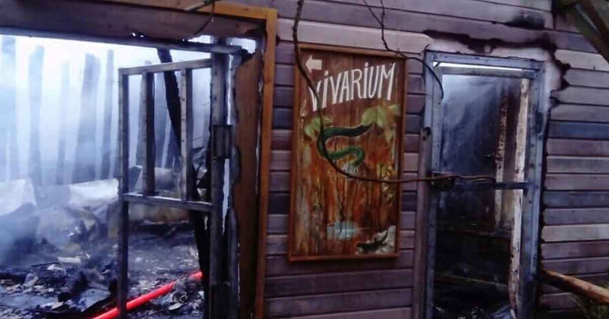 Mueren 57 animales en incendio en zoológico de Francia