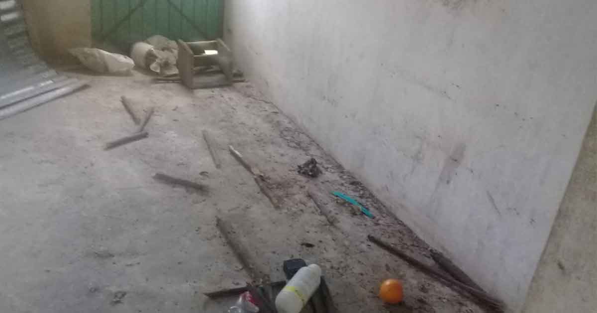 Roban maderas preciosas de un rancho