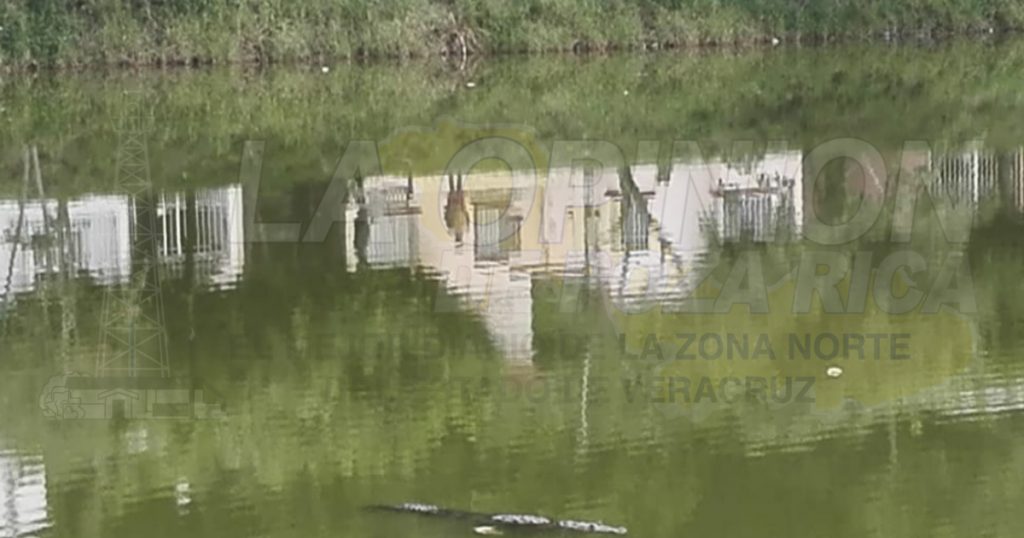 Lago Vista Hermosa, en el virtual abandono