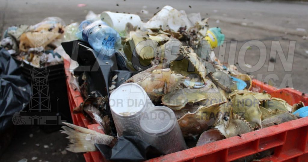 Pestilencia en el parador urbano de Poza Rica