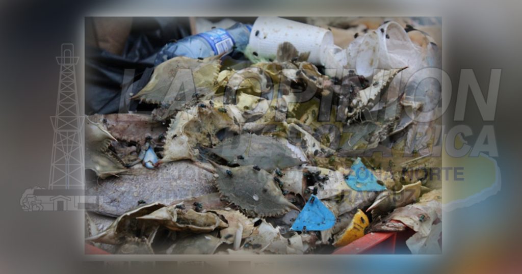 Pestilencia en el parador urbano de Poza Rica